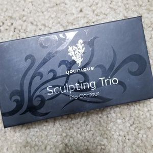 Younique Sculpting Trio highlighting and contour